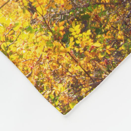 Aspen Bäume im Fall| Sierra Nevada Mountains, CA Fleecedecke (Ecke)