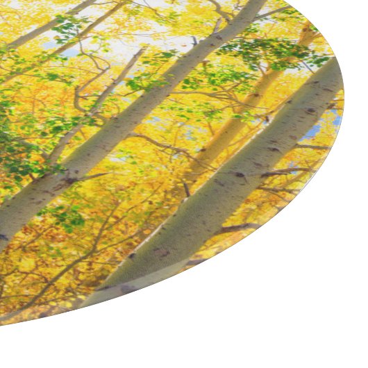 Aspen Bäume im Fall| Sierra Nevada Mountains, CA Schneidebrett (Ecke)