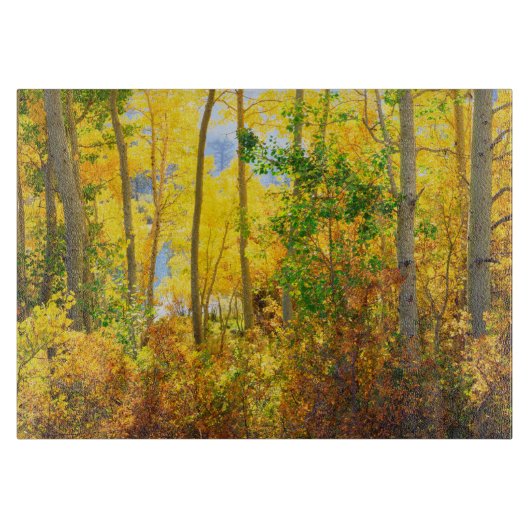 Aspen Bäume im Fall| Sierra Nevada Mountains, CA Schneidebrett (Vorderseite)