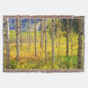 Aspen Bäume im Herbst in den Rockies Decke