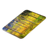 Aspen Bäume im Herbst in den Rockies Magnet (Linke Seite)