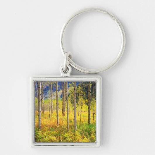 Aspen Bäume im Herbst in den Rockies Schlüsselanhänger (Vorne)