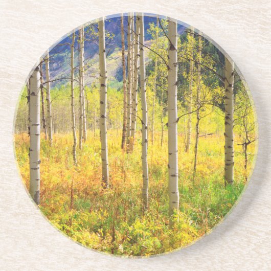 Aspen Bäume im Herbst in den Rockies Untersetzer (Vorne)