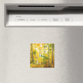 Aspen-Bäume im Herbst | Sierra Nevada, CA Magnet (In Situ (Geschirrspüler))