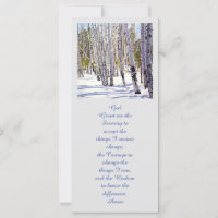 Aspen Bäume im Wald