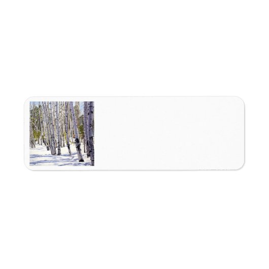 Aspen Bäume im Wald (Vorne)