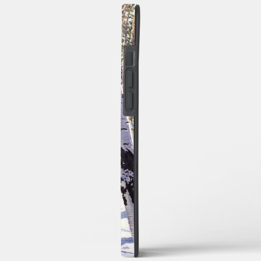 Aspen Bäume im Wald Case-Mate iPhone Hülle (Rückseite / Links)