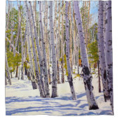 Aspen Bäume im Wald Duschvorhang (Vorderseite)
