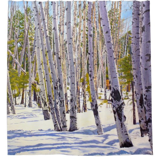 Aspen Bäume im Wald Duschvorhang (Vorderseite)
