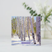 Aspen Bäume im Wald Feiertagskarte (Stehend Vorderseite)