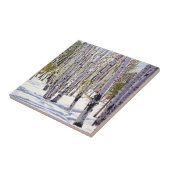 Aspen Bäume im Wald Fliese (Seite)