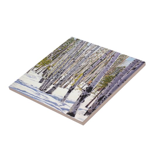 Aspen Bäume im Wald Fliese (Seite)