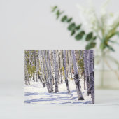 Aspen Bäume im Wald Karte (Stehend Vorderseite)