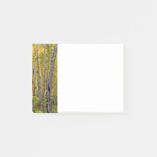 Aspen Bäume im Wald Post-it Klebezettel