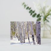 Aspen Bäume im Wald Postkarte (Stehend Vorderseite)