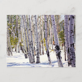 Aspen Bäume im Wald Postkarte