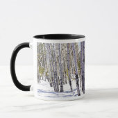 Aspen Bäume im Wald Tasse (Links)