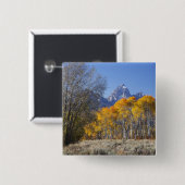 Aspen Bäume mit dem Teton-Gebirge Button (Vorne & Hinten)