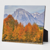 Aspen Bäume mit dem Teton-Gebirge Fotoplatte (Seite)