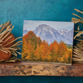 Aspen Bäume mit dem Teton-Gebirge Fotoplatte (Seite)