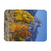 Aspen Bäume mit dem Teton-Gebirge Magnet (Horizontal)