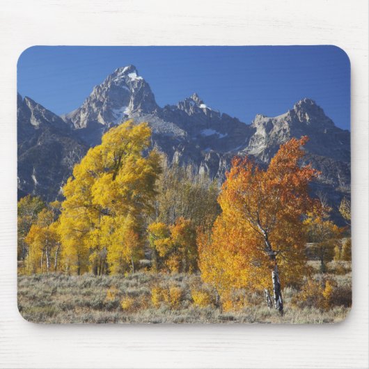 Aspen Bäume mit dem Teton-Gebirge Mousepad (Vorne)