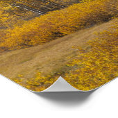 Aspen Bäume mit dem Teton-Gebirge Poster (Ecke)