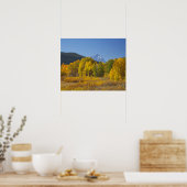 Aspen Bäume mit dem Teton-Gebirge Poster (Küche)
