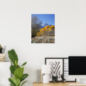 Aspen Bäume mit dem Teton-Gebirge Poster (Heimbüro)