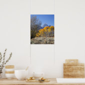 Aspen Bäume mit dem Teton-Gebirge Poster (Küche)
