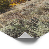 Aspen Bäume mit dem Teton-Gebirge Poster (Ecke)