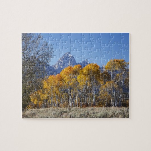 Aspen Bäume mit dem Teton-Gebirge Puzzle (Horizontal)
