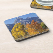 Aspen Bäume mit dem Teton-Gebirge Untersetzer (Linke Seite)
