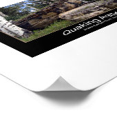 Aspen-Bäume-Turm über unverschämte Felsen Poster (Ecke)