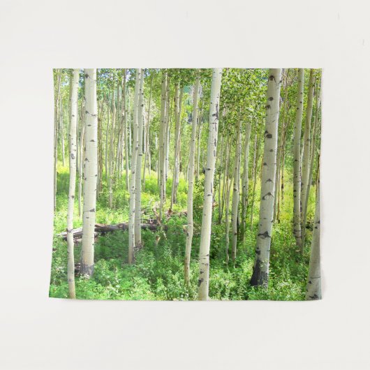 Aspen-Bäume Wandteppich (Vorderseite (Horizontal))