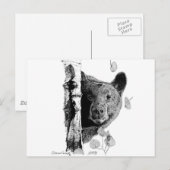 Aspen Bear Postkarte (Vorne/Hinten)