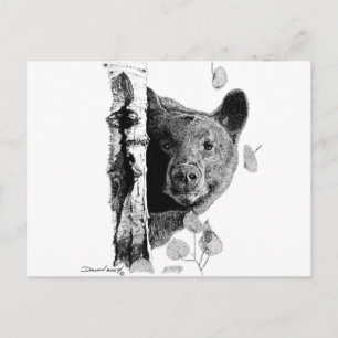 Aspen Bear Postkarte