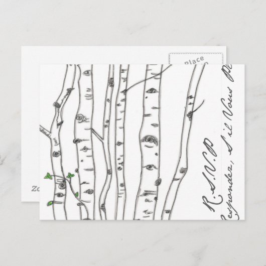 Aspen Birch Tree Grove UAWG Postcard Einladungspostkarte (Vorne/Hinten)