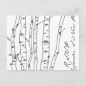 Aspen Birch Tree Grove UAWG Postcard Einladungspostkarte (Vorderseite)