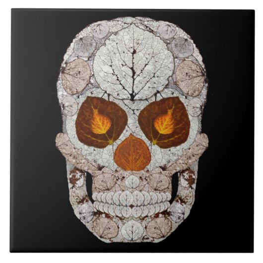 Aspen-Blatt-Schädel 11 Fliese (Vorderseite)