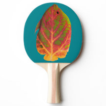 Aspen-Blatt-tropische Fische 1