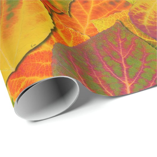 Aspen Blätter Collage Solid Medley 1 Geschenkpapier (Rolleneckpunkt)