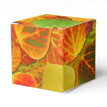 Aspen Blätter Collage Solid Medley 1