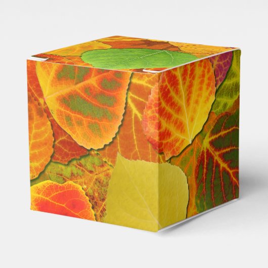Aspen Blätter Collage Solid Medley 1 Geschenkschachtel (Vorderseite)