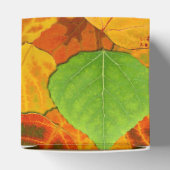 Aspen Blätter Collage Solid Medley 1 Geschenkschachtel (Oben)