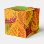 Aspen Blätter Collage Solid Medley 1 Geschenkschachtel (Rückseite)