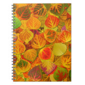 Aspen Blätter Collage Solid Medley 1 Notizblock (Vorderseite)
