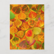 Dunkler Violetter Hintergrund Postkarte Zazzle De