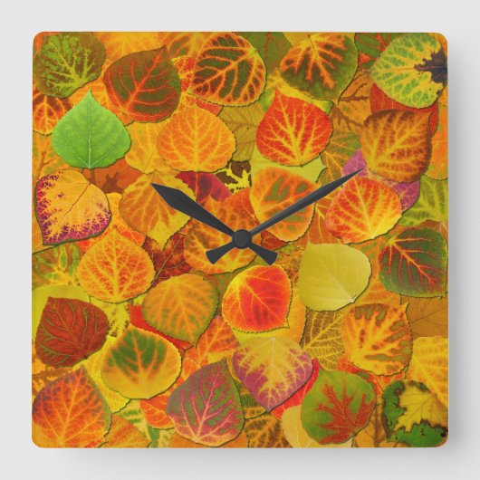 Aspen Blätter Collage Solid Medley 1 Quadratische Wanduhr (Vorderseite)