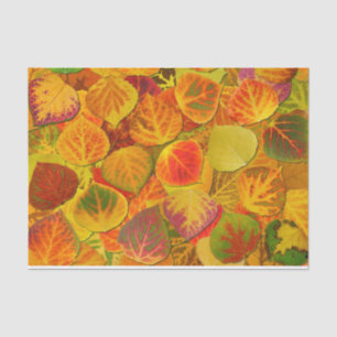 Aspen Blätter Collage Solid Medley 1 Seidenpapier